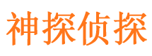 莱山市私家侦探